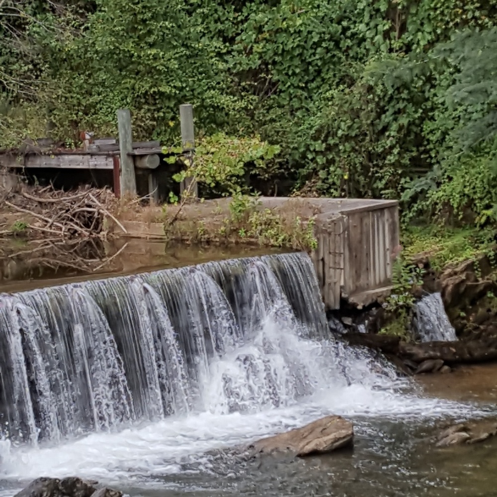 Meet your Posher, Devona